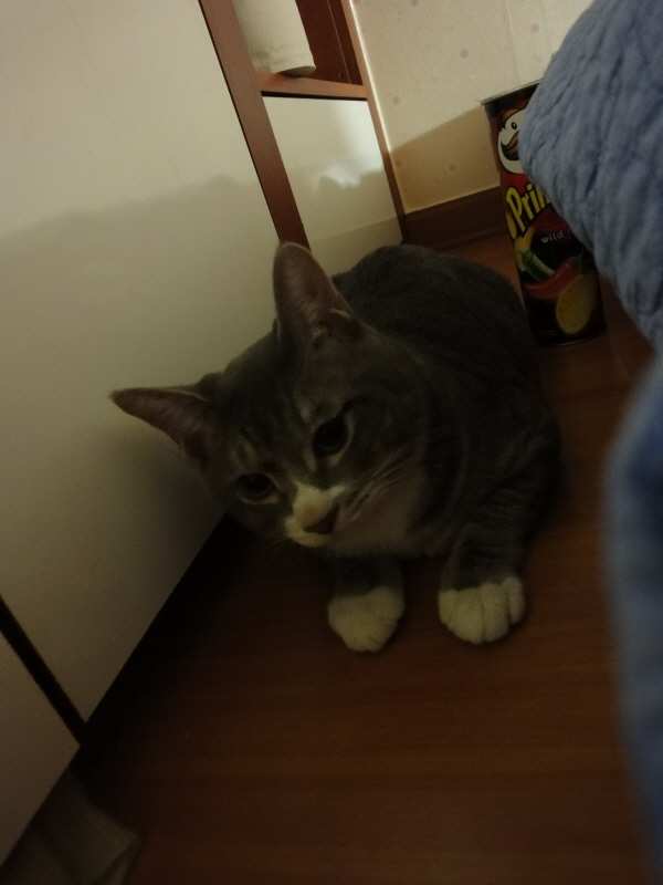 [DSC-WX1] 004.jpg